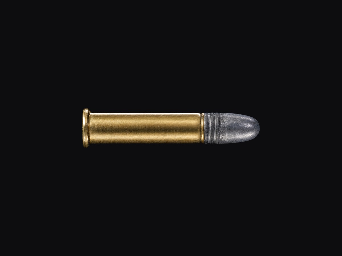 .22 LONG RIFLE