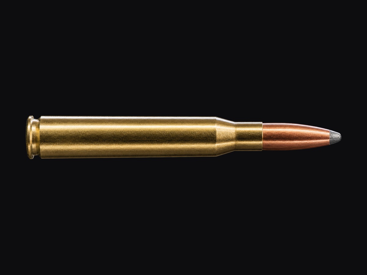 .308 WINCHESTER